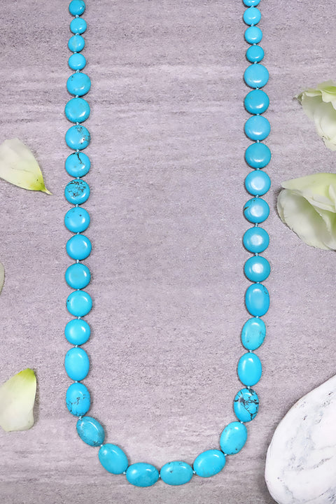 Turquoise & Silver Plated Sierra Vista Necklace - SF